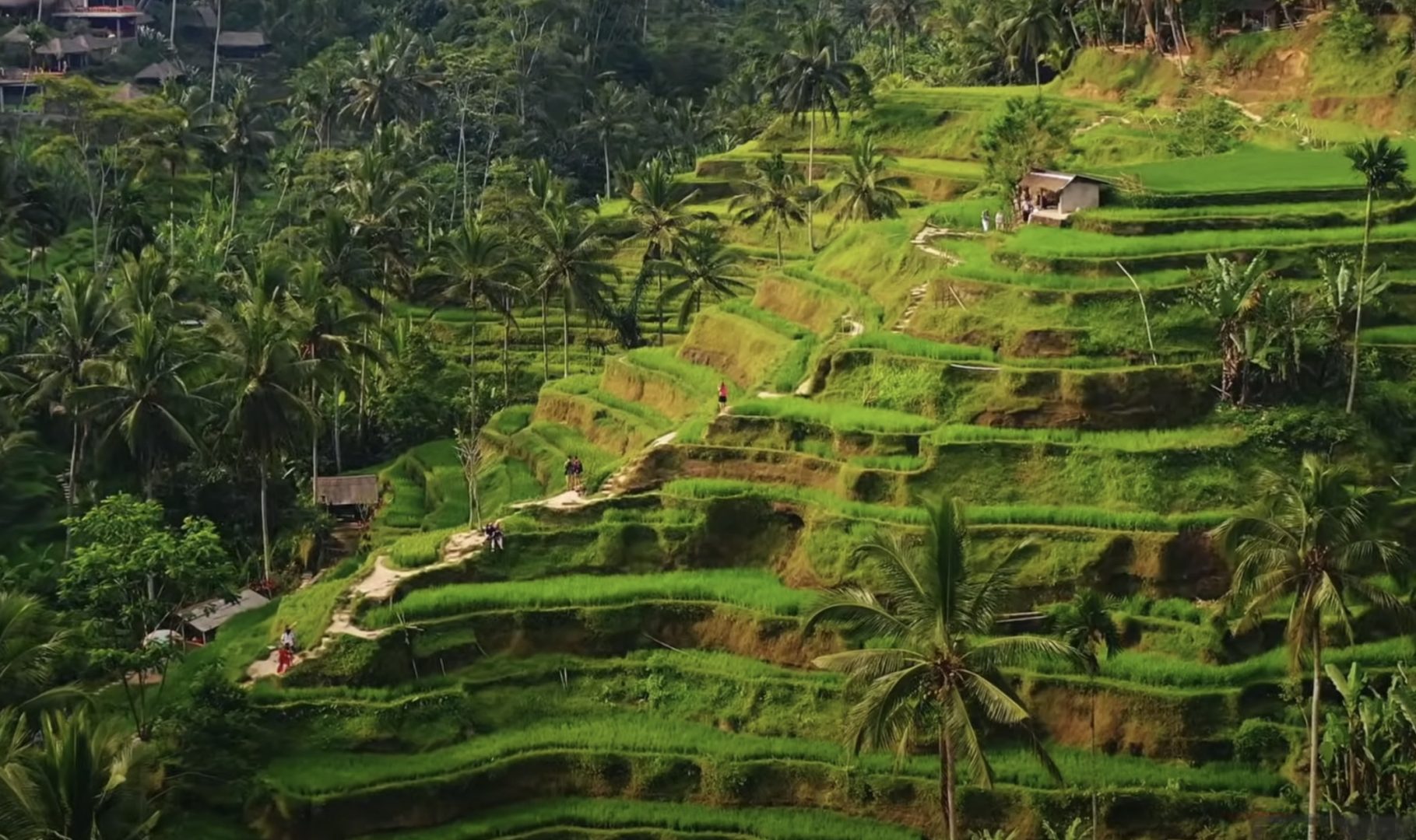 Bali pays dangereux ? Les vrais risques pour les touristes