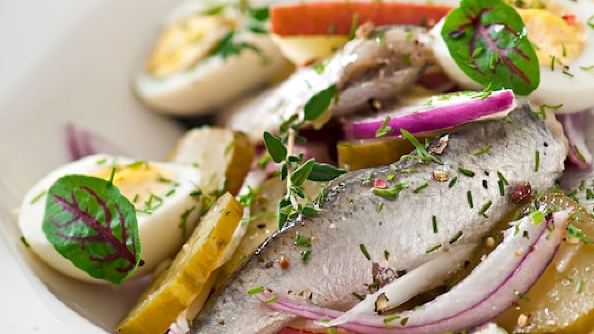 Les meilleures techniques pour apprendre l&rsquo;art culinaire marin